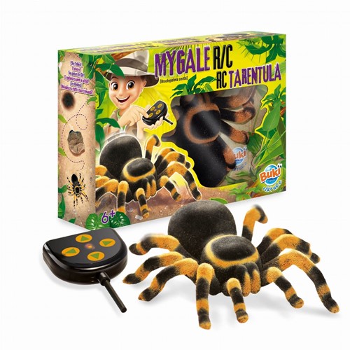 Buki Tarantula